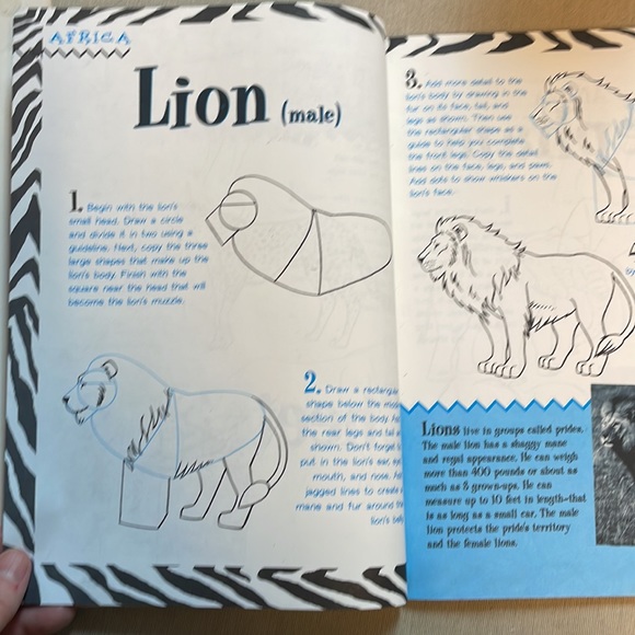 📚2/$6 2-Book Bundle Learn to Draw Animals - Picture 15 of 16